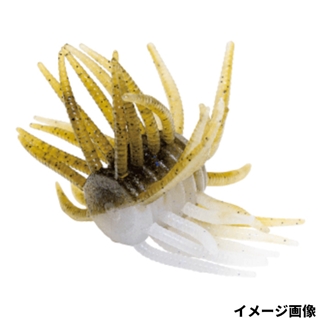 46 ネオンフィッシュ