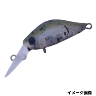 RT-09 玉条オリーブ