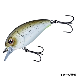 #2 パールシャッド