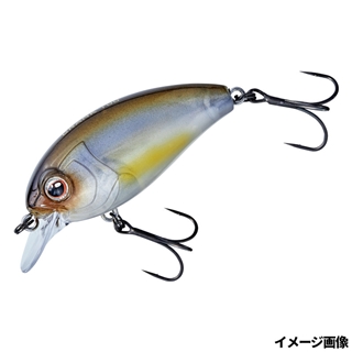 #4 フェアリーシャッド