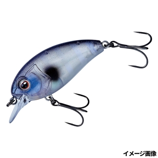 #5 オーロラギル