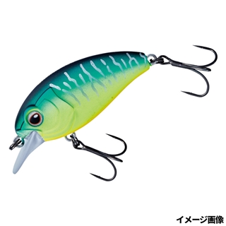 #9 ホットタイガー