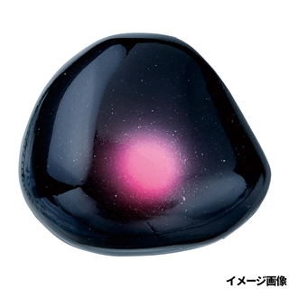 #14 オウゲンブラック