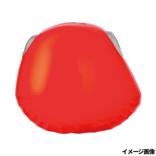 #22 アピールオレンジ