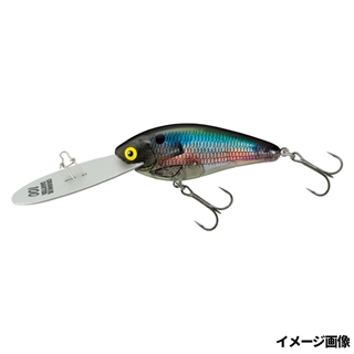 #07 クラシックオイカワフラッシュ