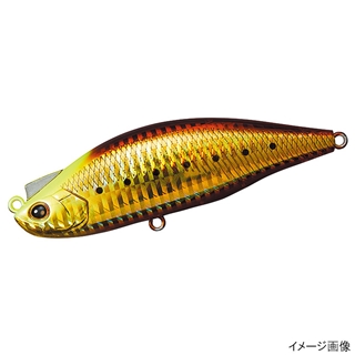 バーニングゴールドイワシ