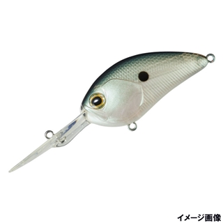 ギザードシャッド