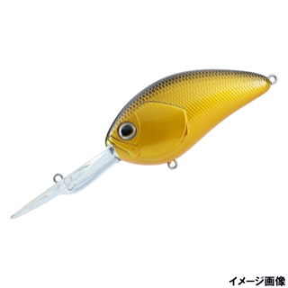 琵琶湖クロキン