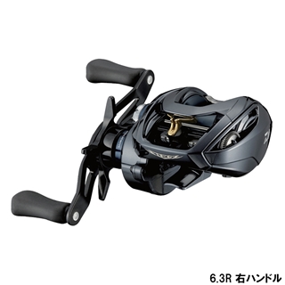 ダイワ スティーズ A TW HLC 6.3R 右ハンドル (ベイトリール)[2021年