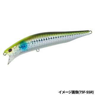 チャートヘッドイナッ子