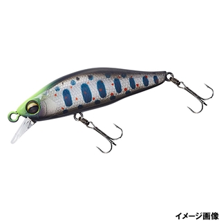 チャートヘッド黒サビアマゴ