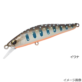 イワナ