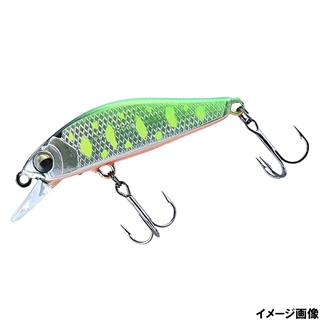 チャートヤマメオレンジベリー