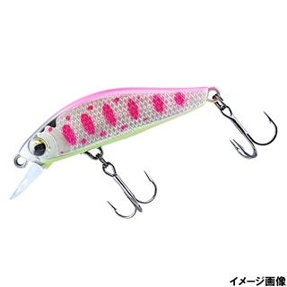 ピンクヤマメチャートベリー