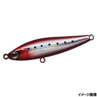 アデルバーニングイワシ