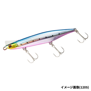 アデルヒラメイワシ