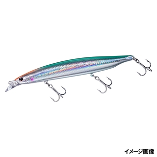 アデルオレンジヘッドキビナゴ