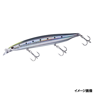 アデルチャートヘッドイワシ