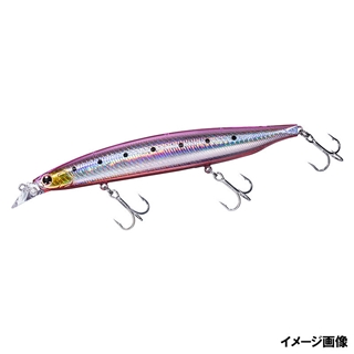 アデルヒラメピンクイワシ