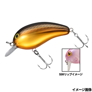 DAIWA ダイワ メガピーナッツ MEGA Peanut スティーズSTEEZ 2025年最新】ダイワ メガピーナッツの人気アイテム - メルカリ