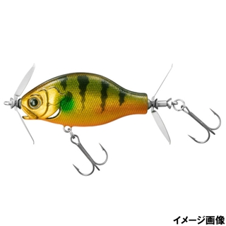 SGゴージャスギル