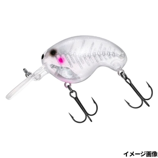 トランスルーセントグラスキャットBN