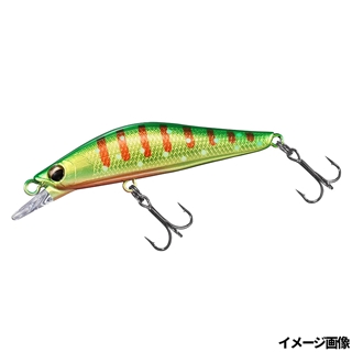 グリキンイワナ