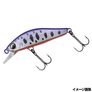 パープルヤマメオレンジベリー