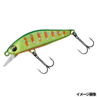 グリキンイワナ