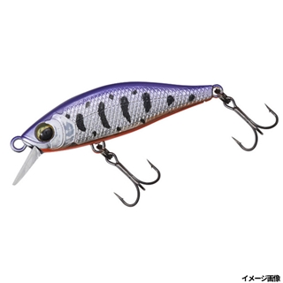 パープルヤマメオレンジベリー