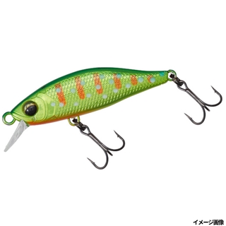 グリキンイワナ