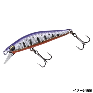 パープルヤマメオレンジベリー