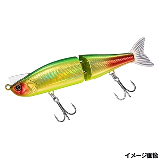 アデルグリーンゴールドレッドテール