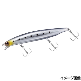 ケイムラギンギライワシ