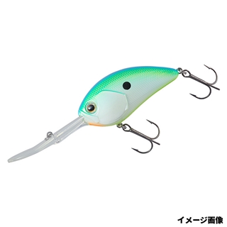 シトラスシャッド