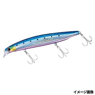 アデルヒラメイワシ