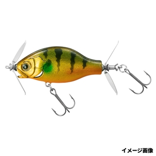 SGゴージャスギル