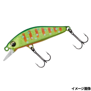 グリキンイワナ