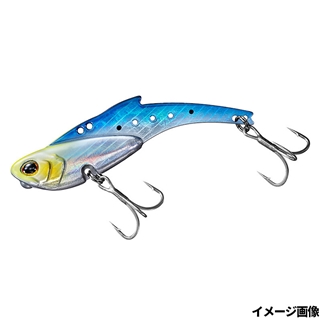 アデルチャートヘッドイワシ