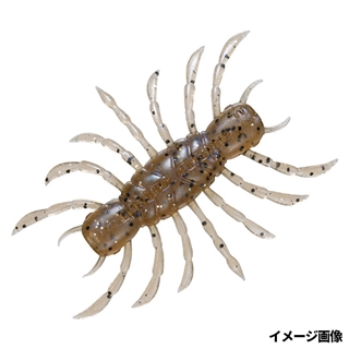 ライブシュリンプ