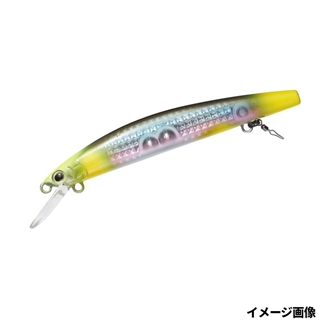 レーザーインパクト縄張りアユ
