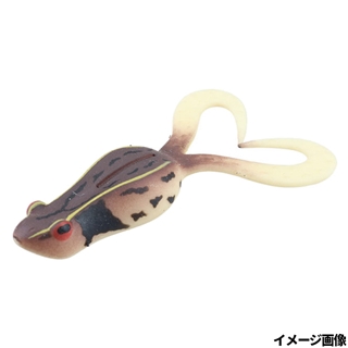 ダークアカガエル