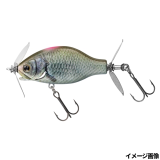 サイトリアル小鮒