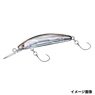 ホログラムワカサギ5