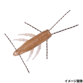 ハシタクコンフィデンス