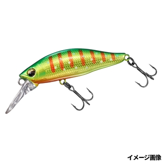 グリキンイワナ