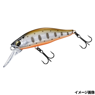 ケイムラヤマメOB