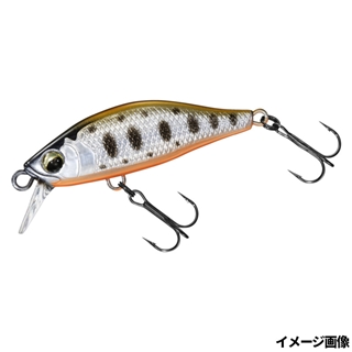 ケイムラヤマメOB