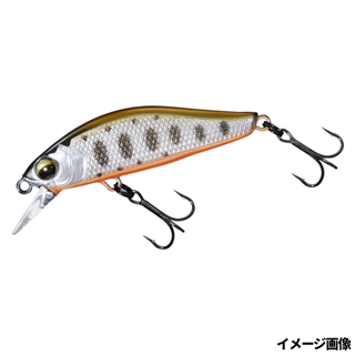 ケイムラヤマメOB