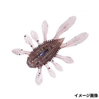 ライブシュリンプ